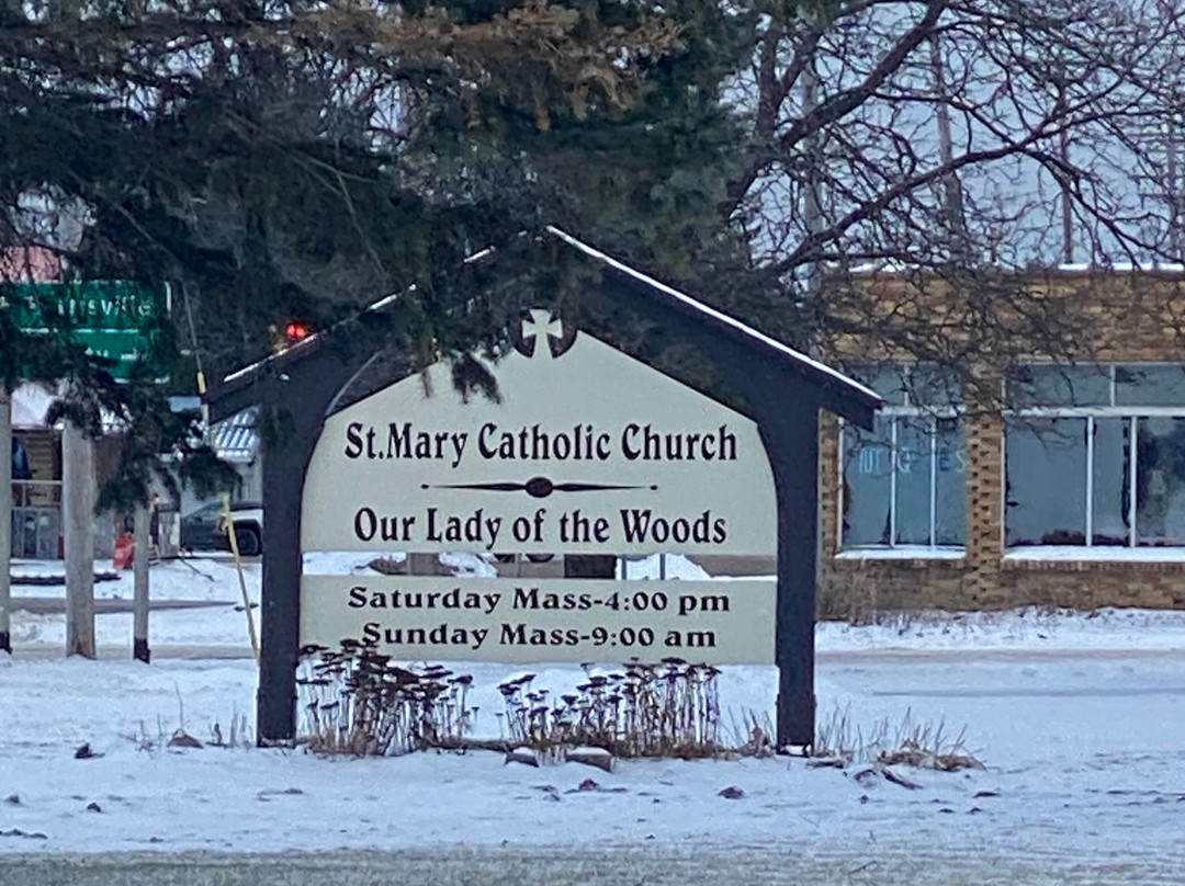 Our Lady of the Woods Shrine景点图片
