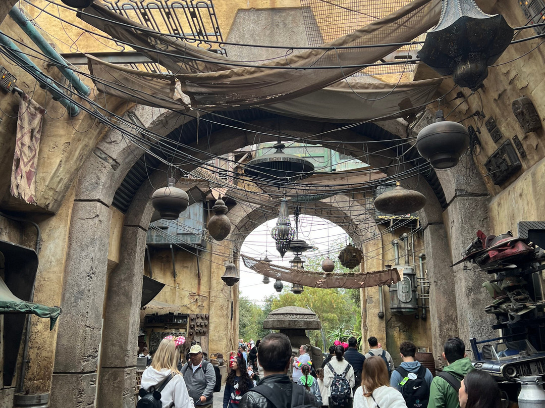 Star Wars: Galaxy’s Edge-阿纳海姆必去景点