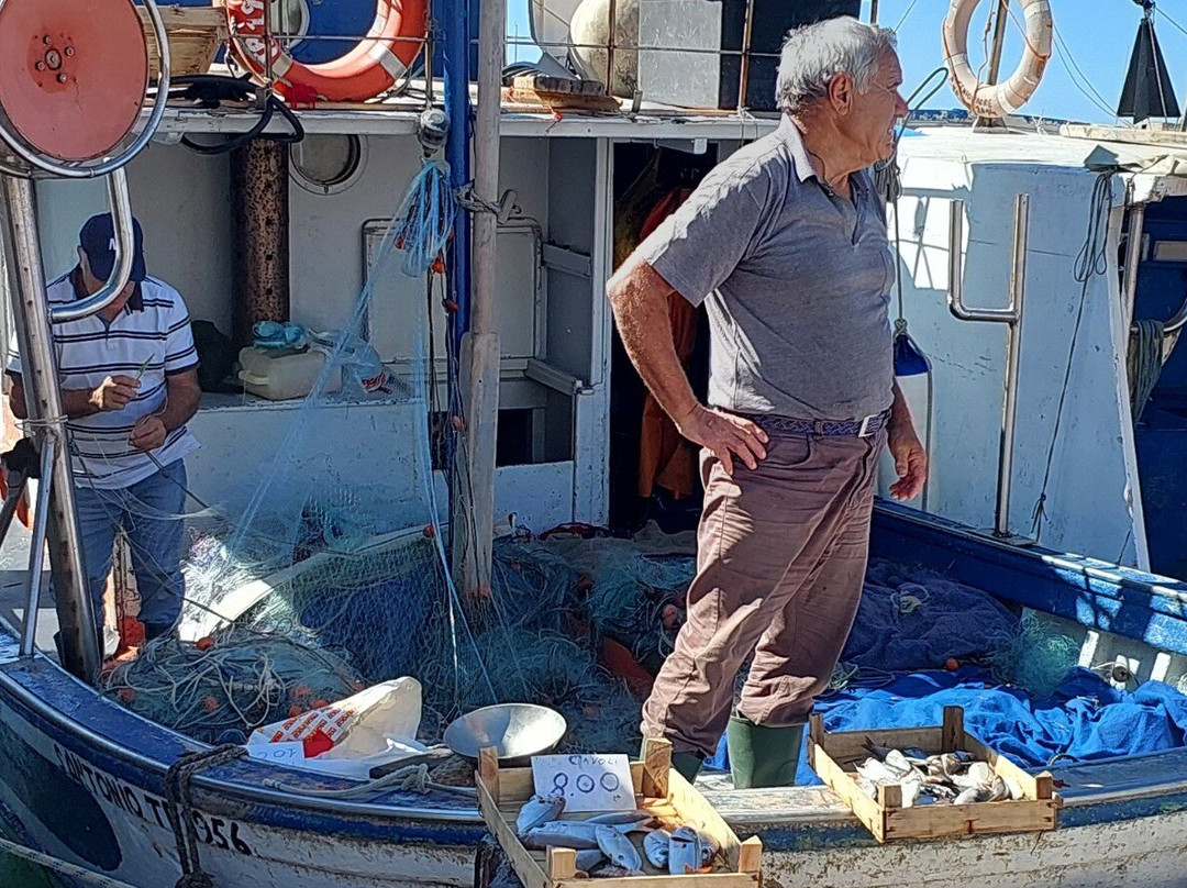 Mercato del Pesce di Trapani-特拉帕尼省必去景点