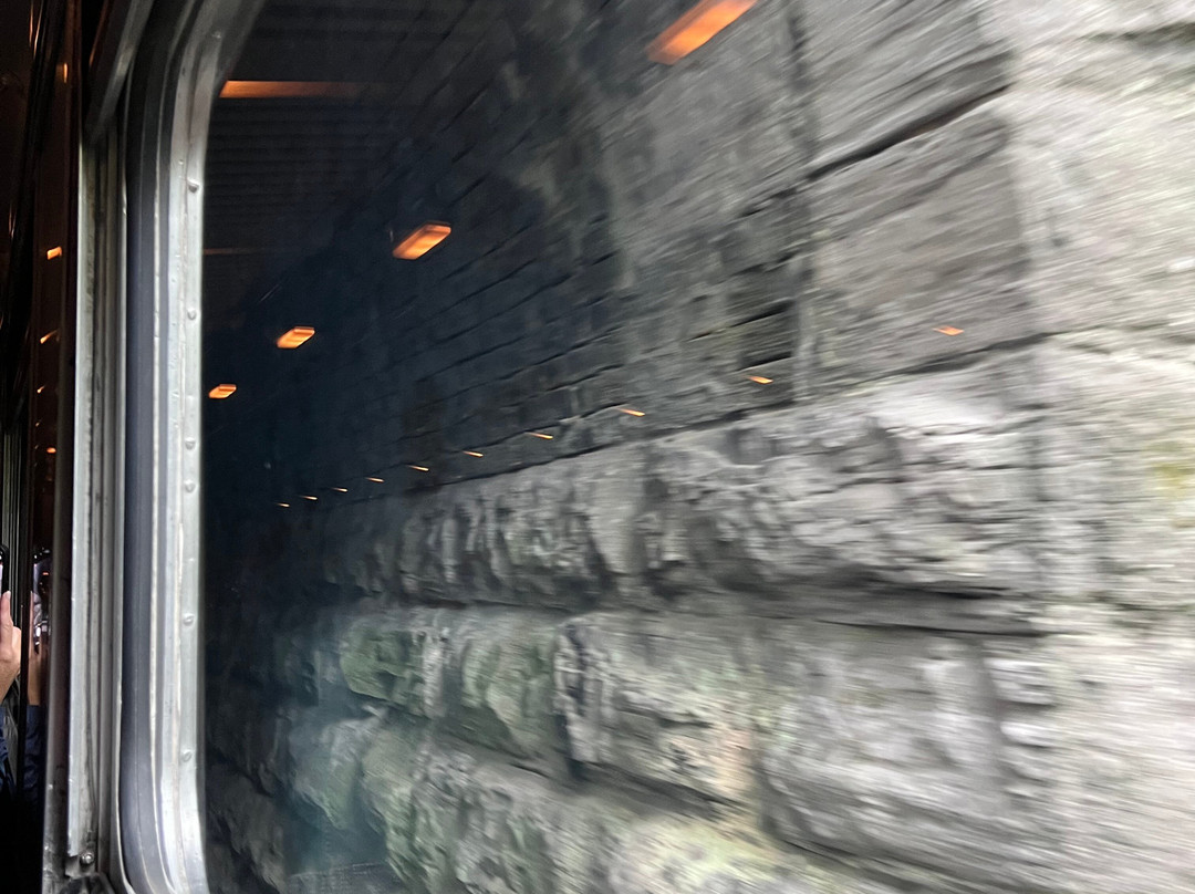 Tennessee Valley Railroad Museum景点图片