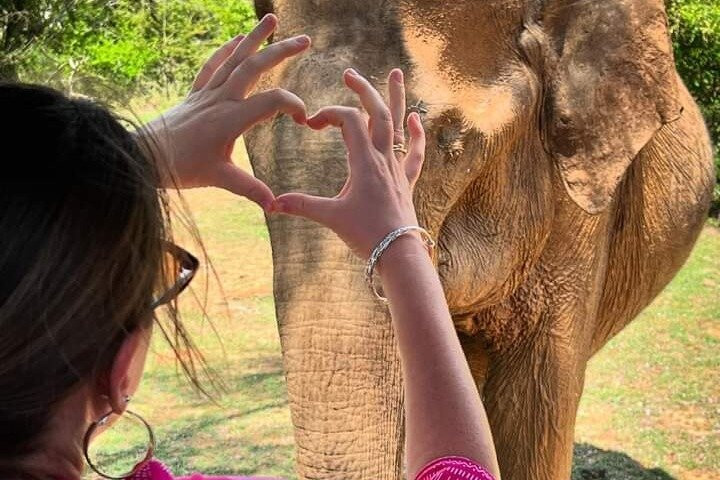 Udawalawe Safari Lodge