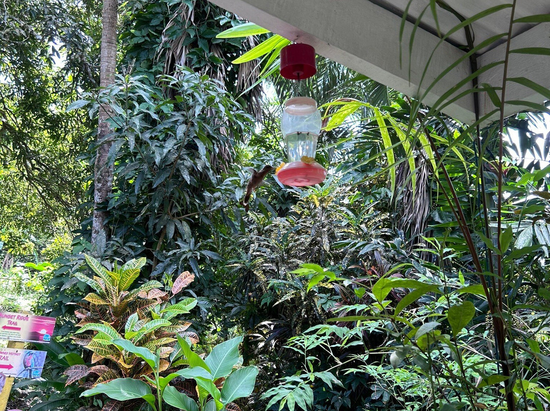 Adventure Farm and Nature Reserve-多巴哥必去景点