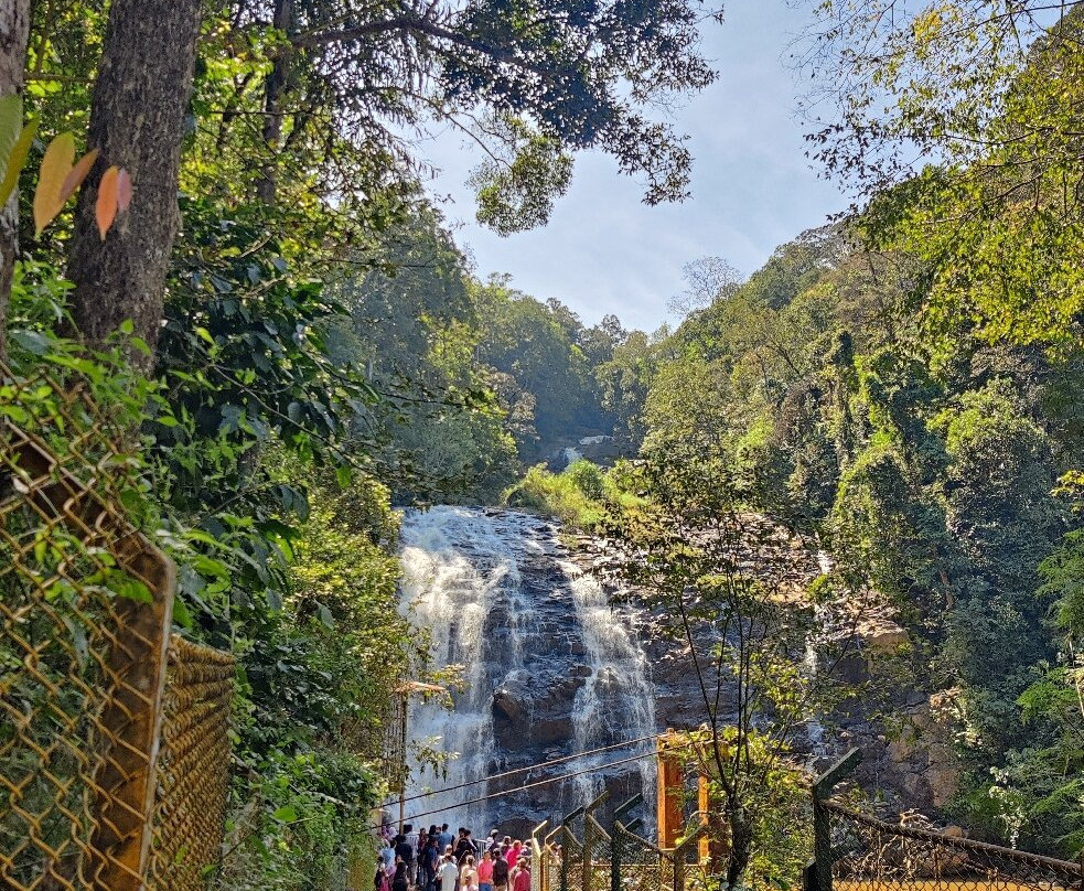 Abbey Falls景点图片