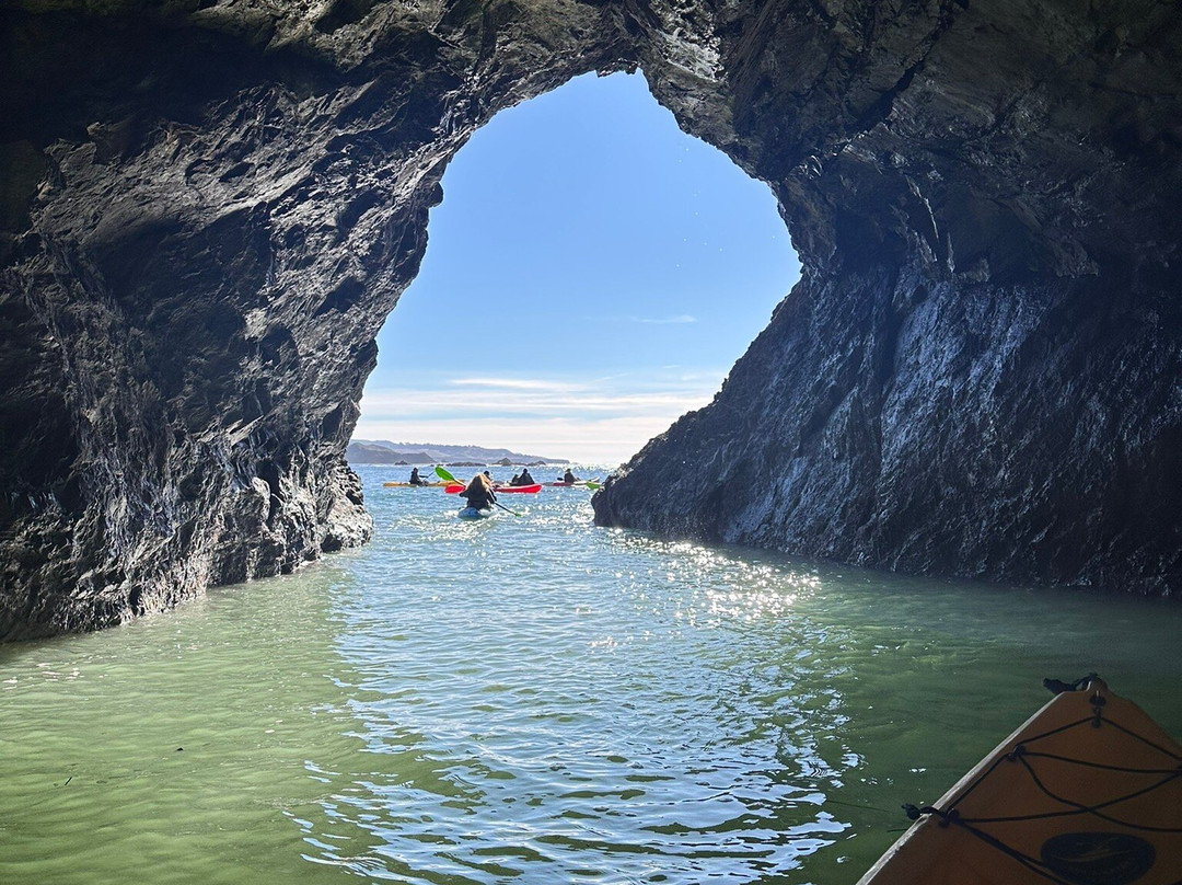 Kayak Mendocino景点图片