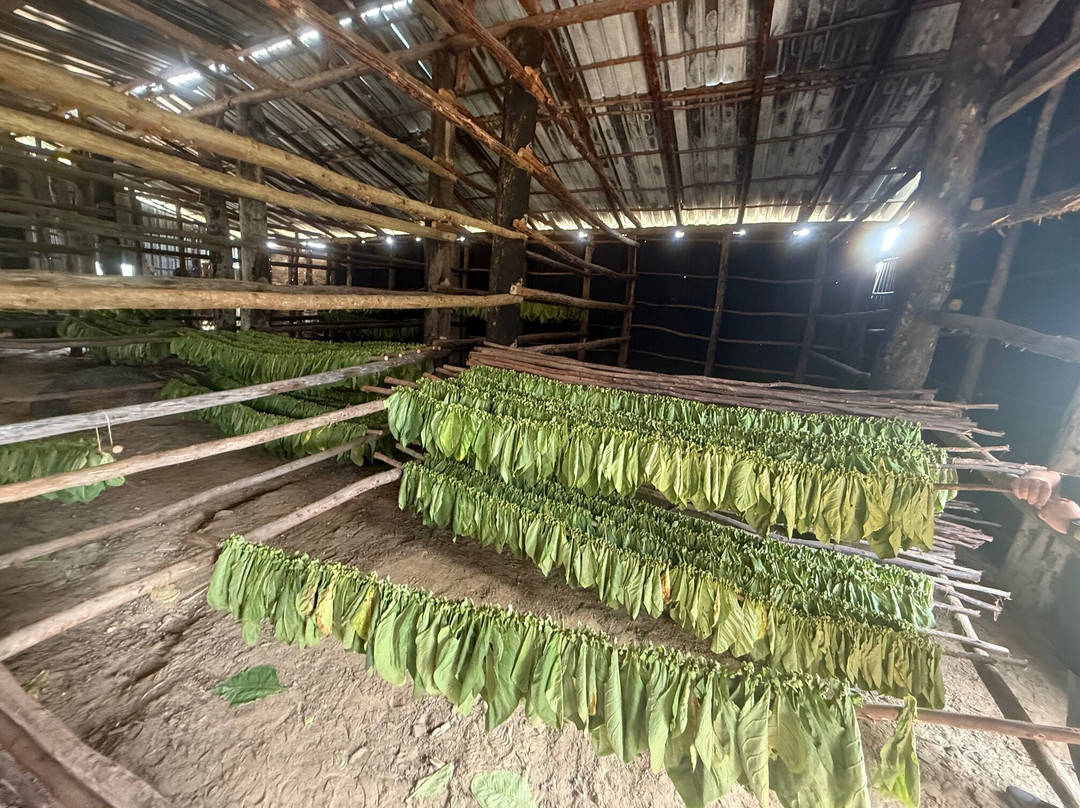 Gardner Tours-哈瓦那必去景点