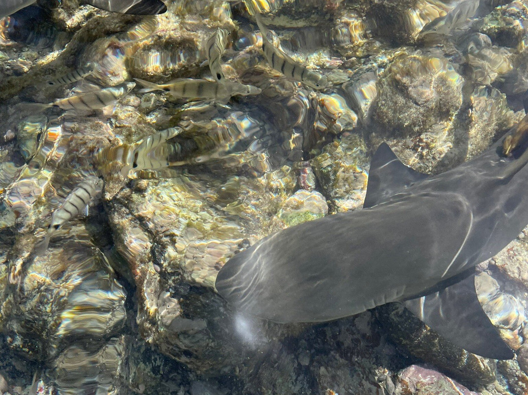Tony Tours-Espargos必去景点
