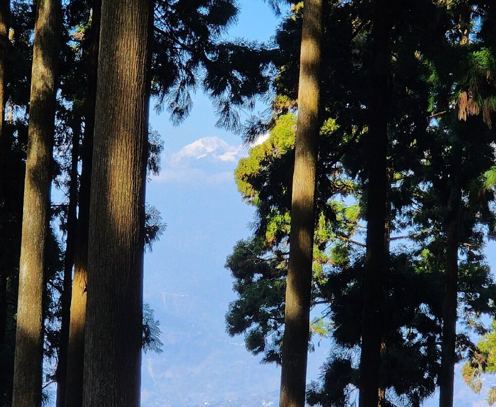 Lamahatta-大吉岭必去景点