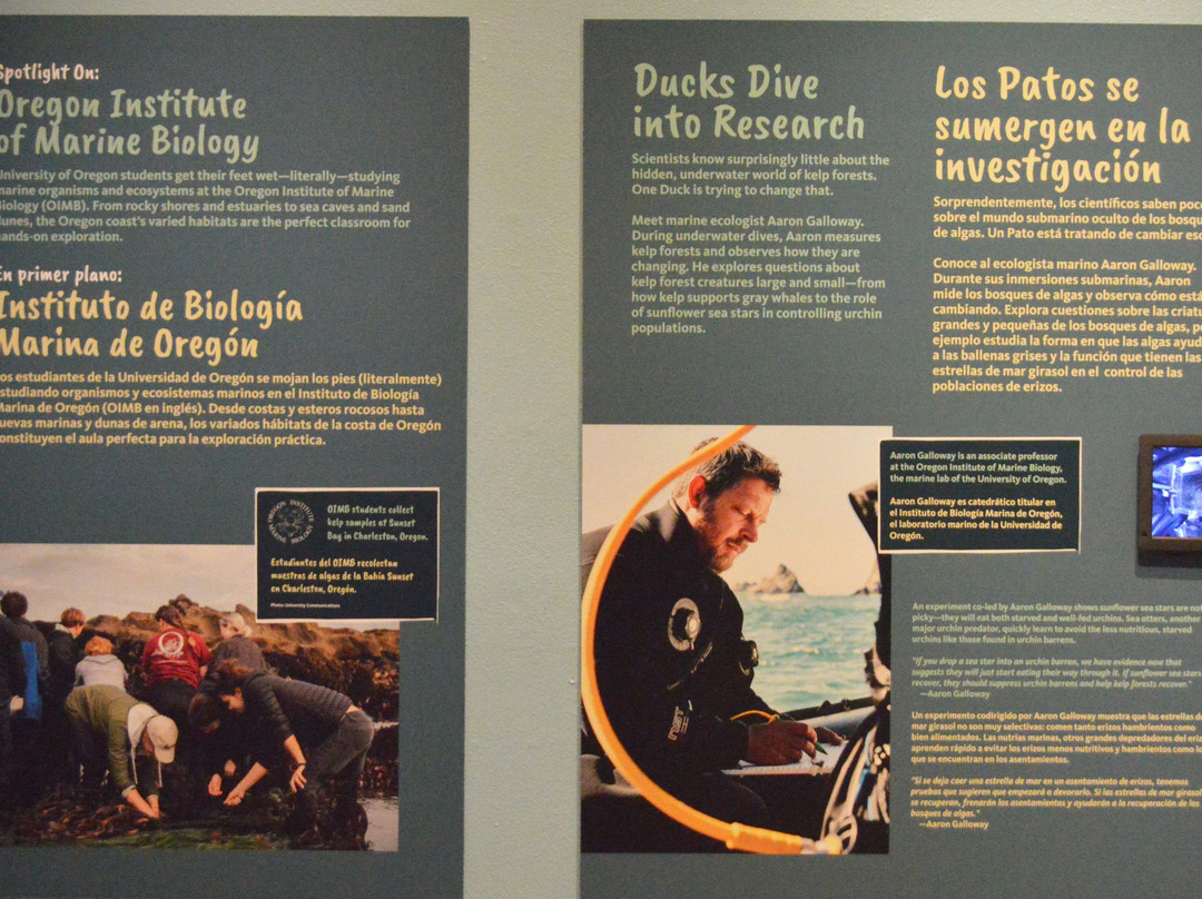 Museum of Natural and Cultural History-尤金必去景点