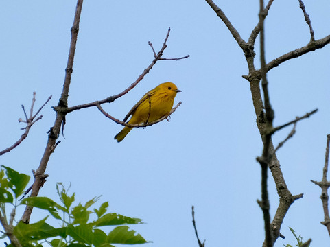 Gilkison Flats Trail-Brantford必去景点