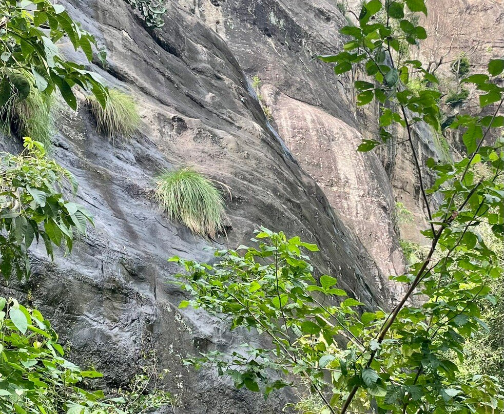 Yapahuwa Rock Fortress-Yapahuwa必去景点