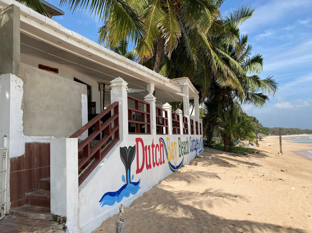 Dutch Bay Beach Cottages主图
