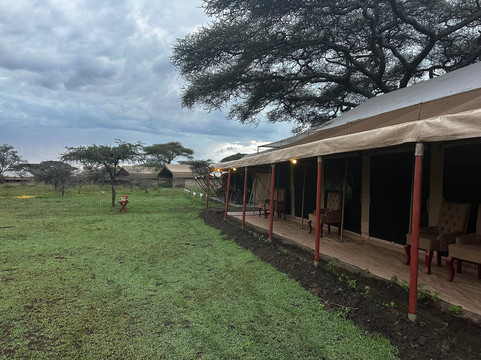 FOLLOW AFRICAN SAFARIS-阿鲁沙必去景点