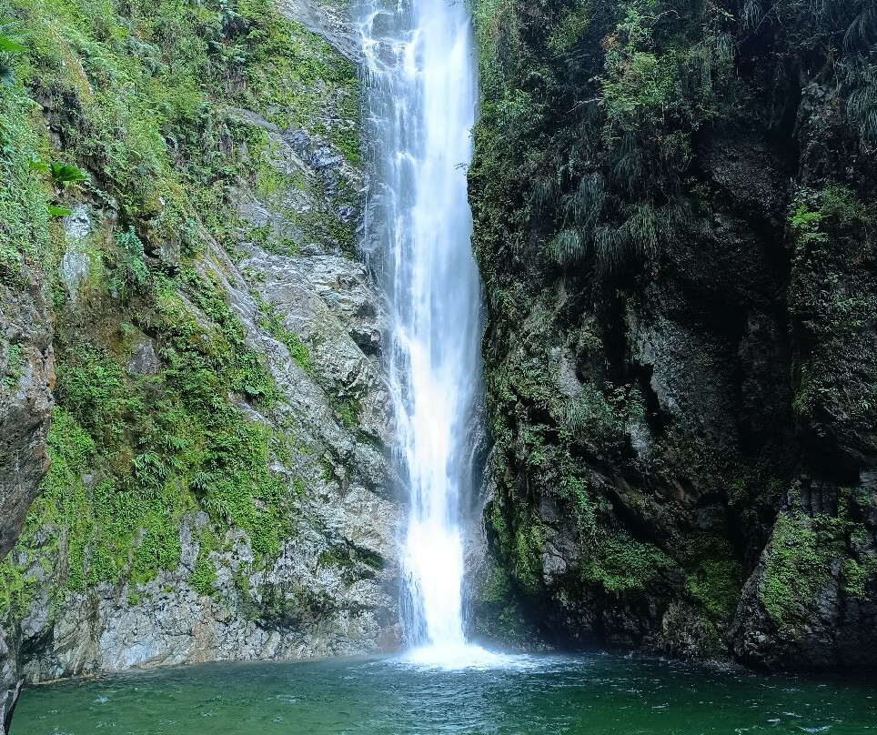 Cascada Cerrillos-Futrono必去景点