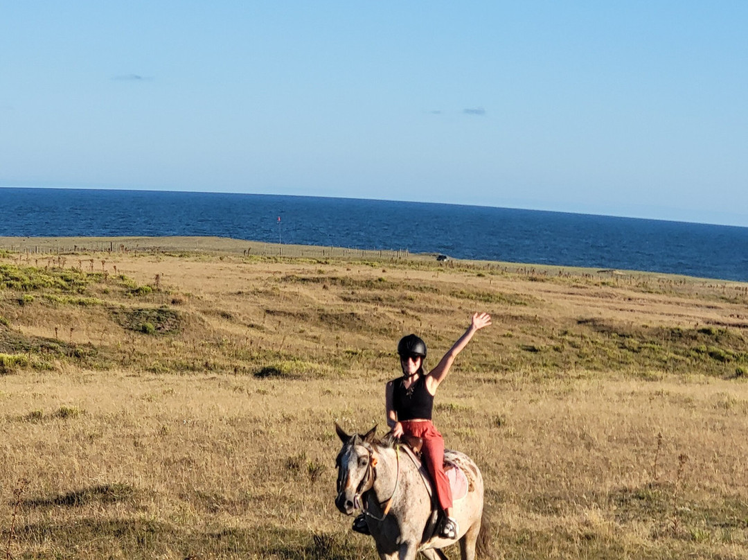 Eco Equus Cabalgatas-La Pedrera必去景点