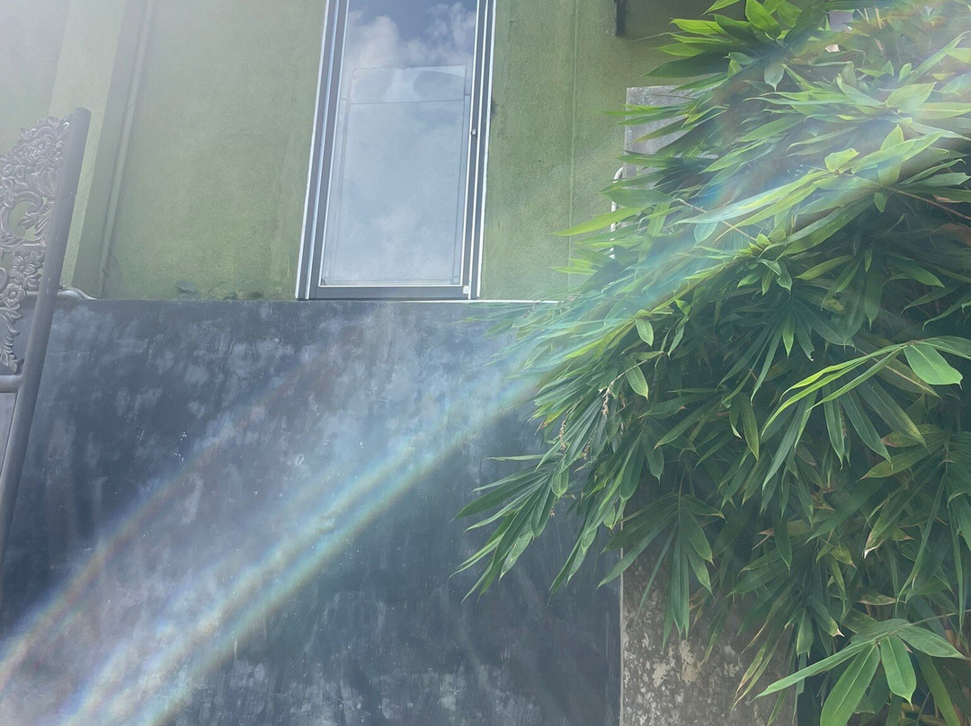 Jungle Heart Cabanas主图