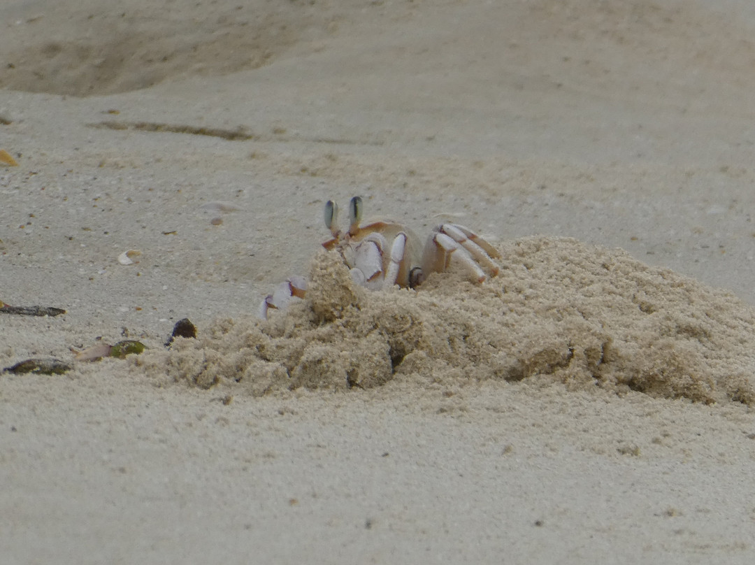 Macaneta Beach-马布多必去景点