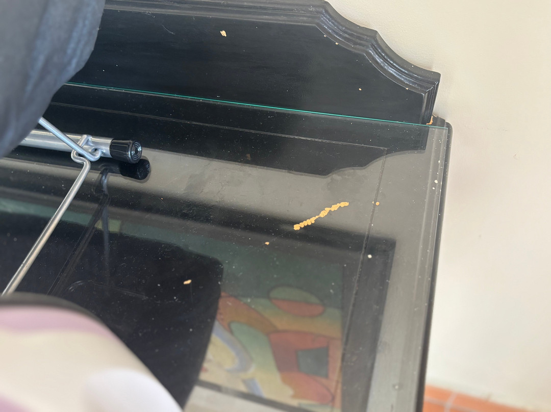 Bahia Principe Luxury Runaway Bay主图