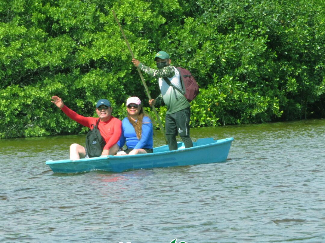 Mayan Ecotours-梅里达必去景点
