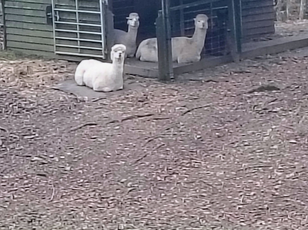 The Mill at Glynhir主图