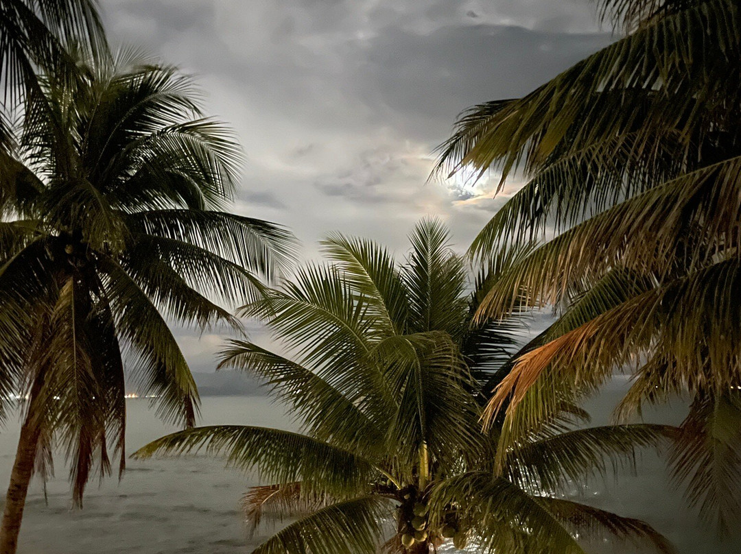 Song Cau Town酒店住宿-Dankbaar Resort