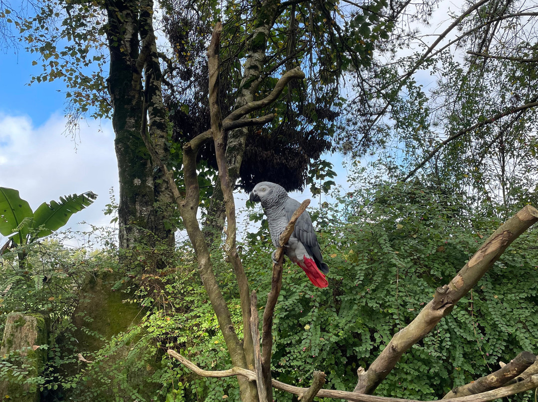Parc tropical景点图片