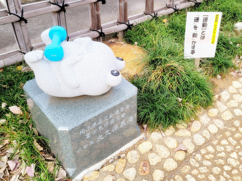 Mizumiya Shrine-富士见市必去景点