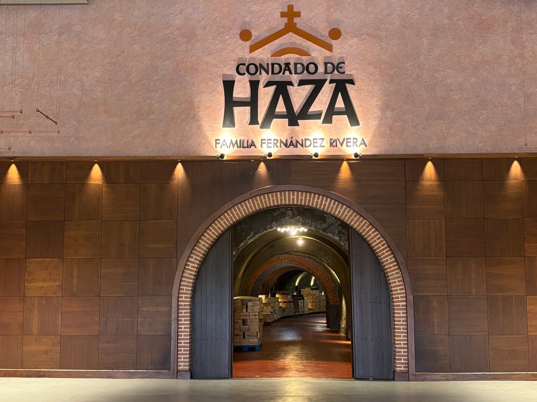 Grupo Pesquera, Bodega Condado de Haza景点图片