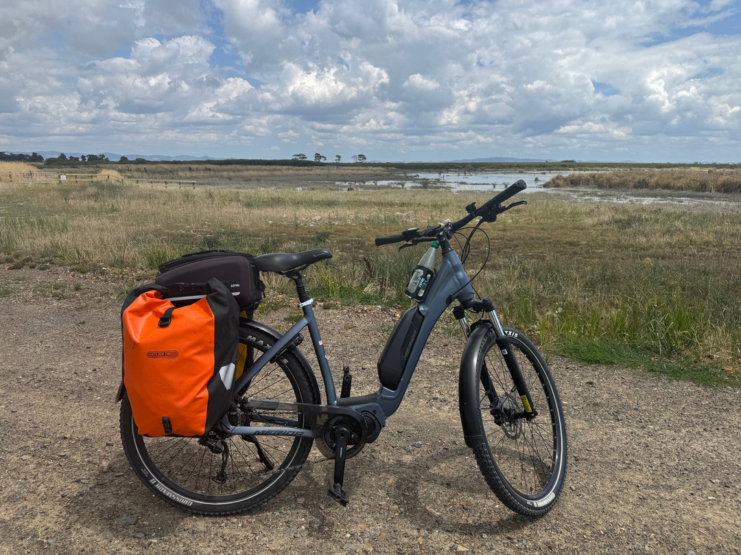 Shorebird Cycles-Kaiaua必去景点