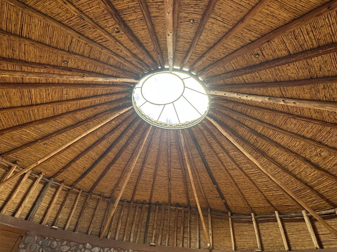 Etnikas Ayahuasca Retreats景点图片