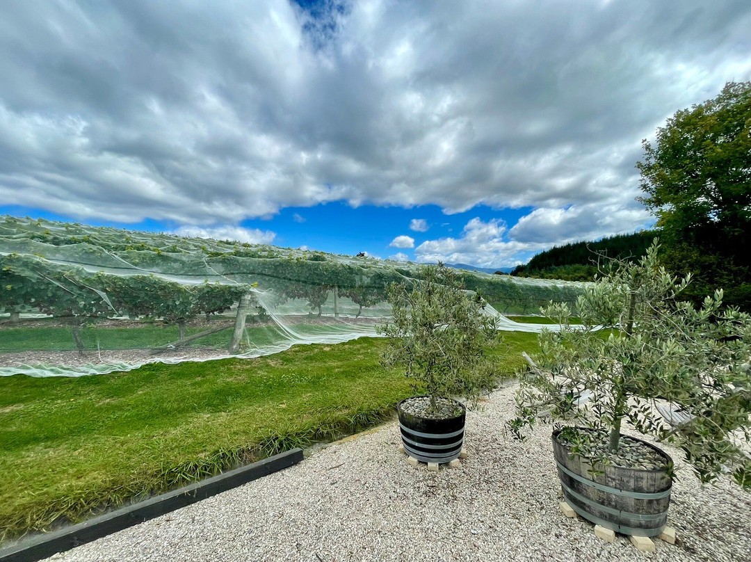 Nelson Tours & Travel - Wine Tours-尼尔森必去景点