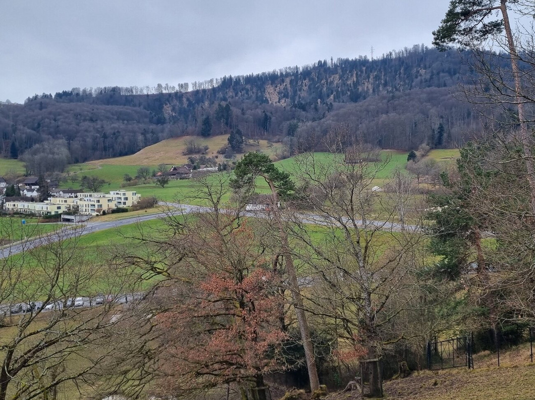 Wildnispark Zurich Langenberg-Langnau am Albis必去景点