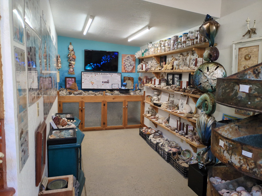 SeaShell Museum-佩纳斯科港必去景点