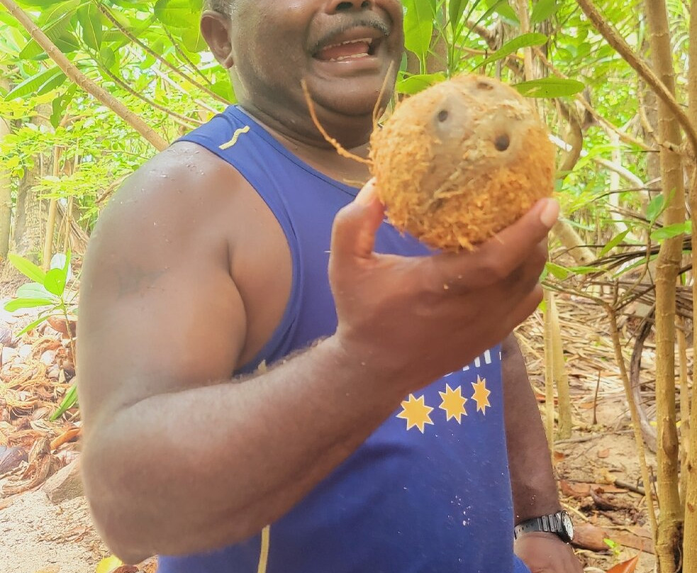 Monuriki-Mamanuca Islands必去景点