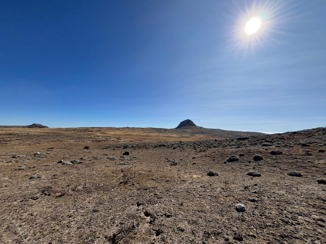 Bale Trek Ethiopia Tours景点图片