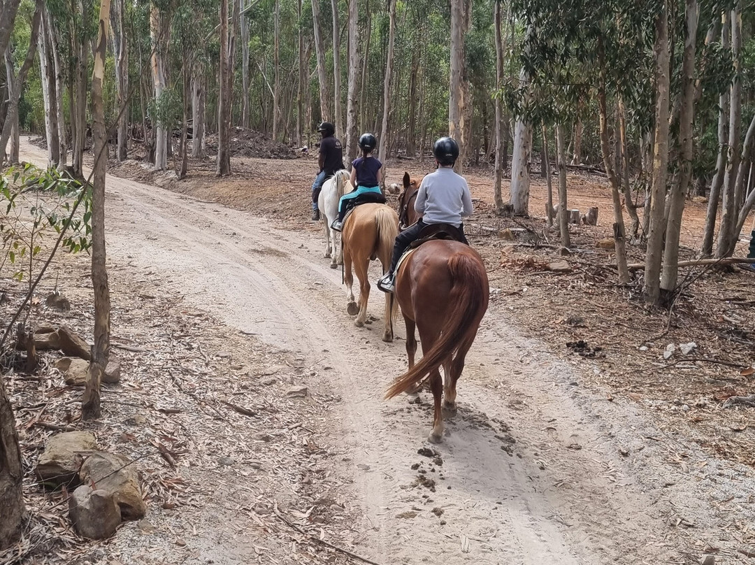 Heaven and Earth Trails-赫曼努斯必去景点