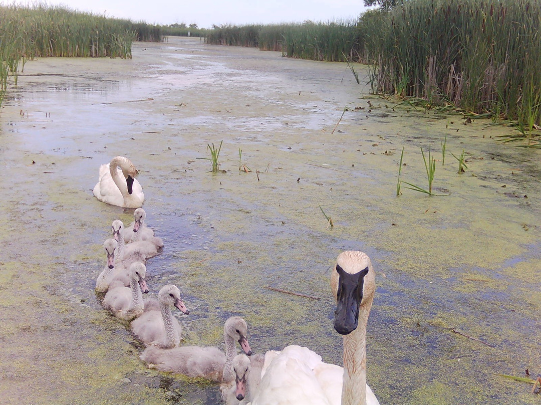 Adam Birding Conservancy-Whitewater必去景点