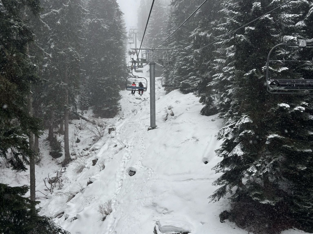 Hunters Ski School-波罗维兹必去景点