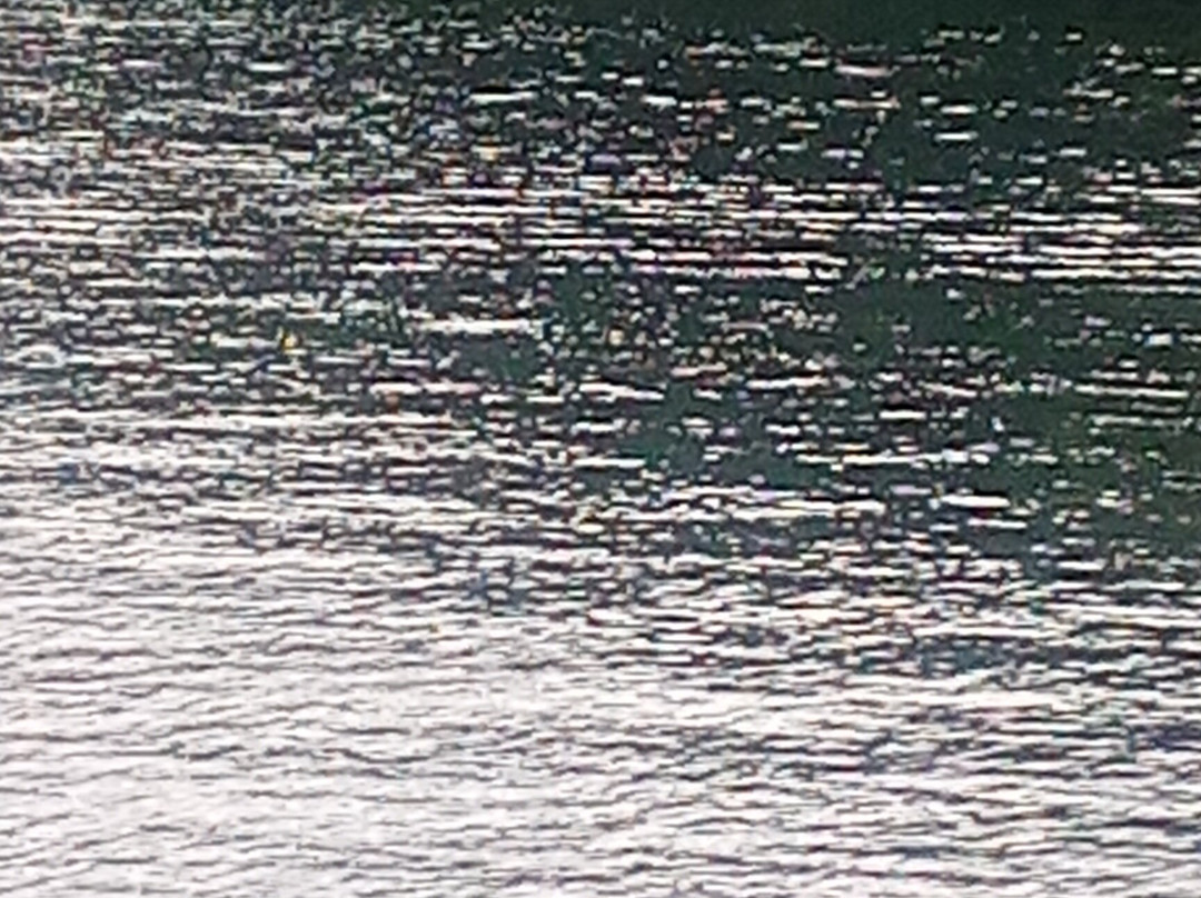 Crab Creek Catfish Pond景点图片