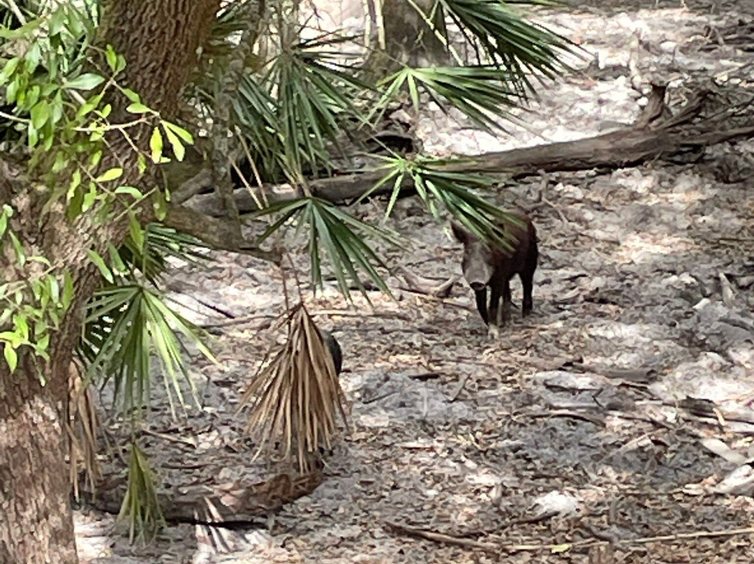 Peace River Charters-阿卡迪亚必去景点