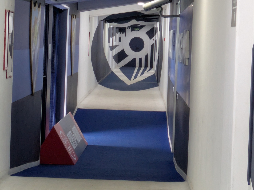 Malaga CF Museo & Tour-马拉加必去景点