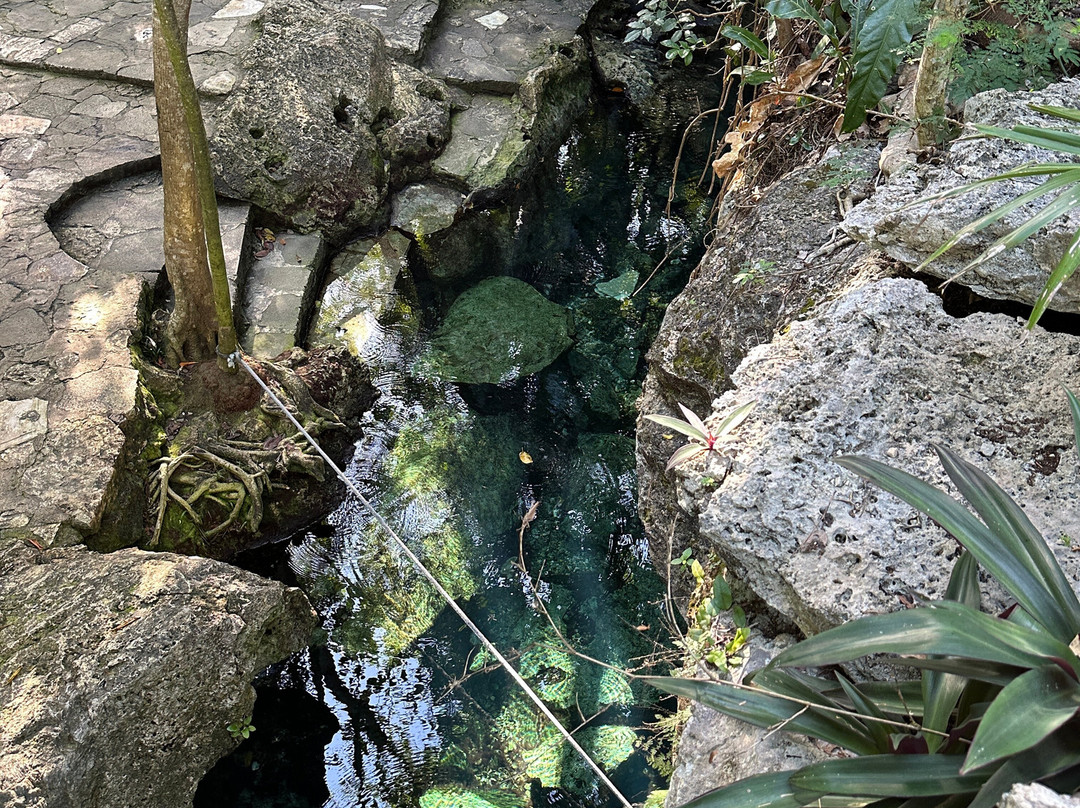 Cenote Cristalino景点图片