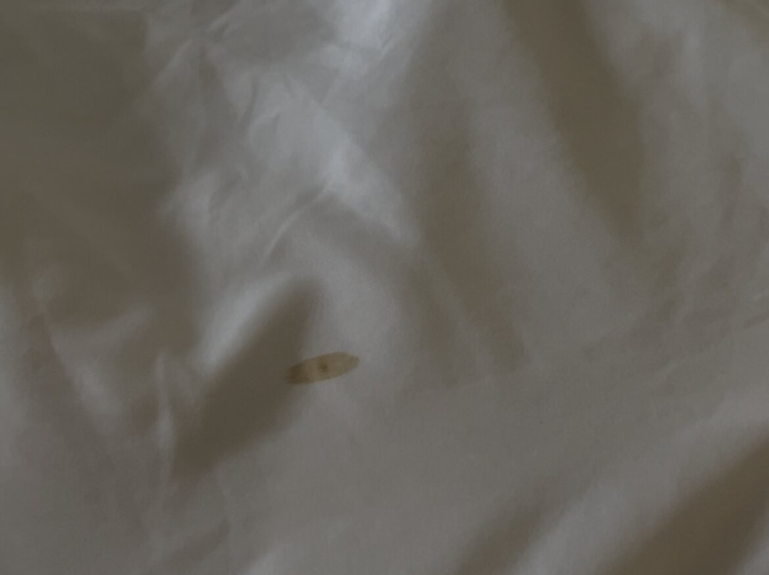 Comfort Suites Fredericksburg North主图