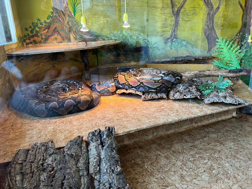 Iguana Reptile Zoo-Zeeland Province必去景点