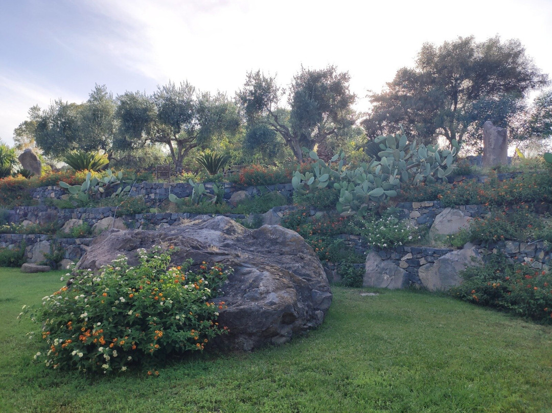 Villa delle Palme主图