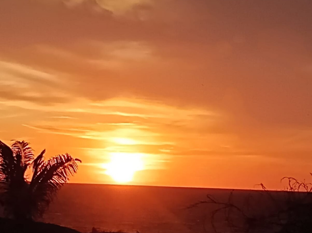 Vichayito Bungalows & Carpas By Aranwa主图