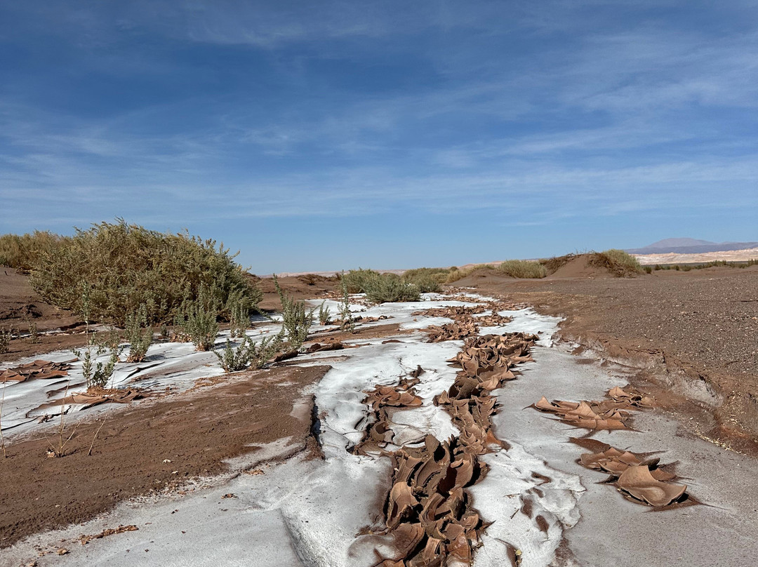 Agencia Atacama On The Road-圣佩德罗-德阿塔卡马必去景点