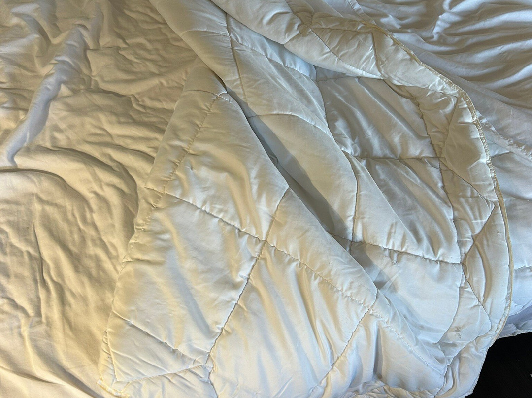 Hamilton Inn Bessemer主图