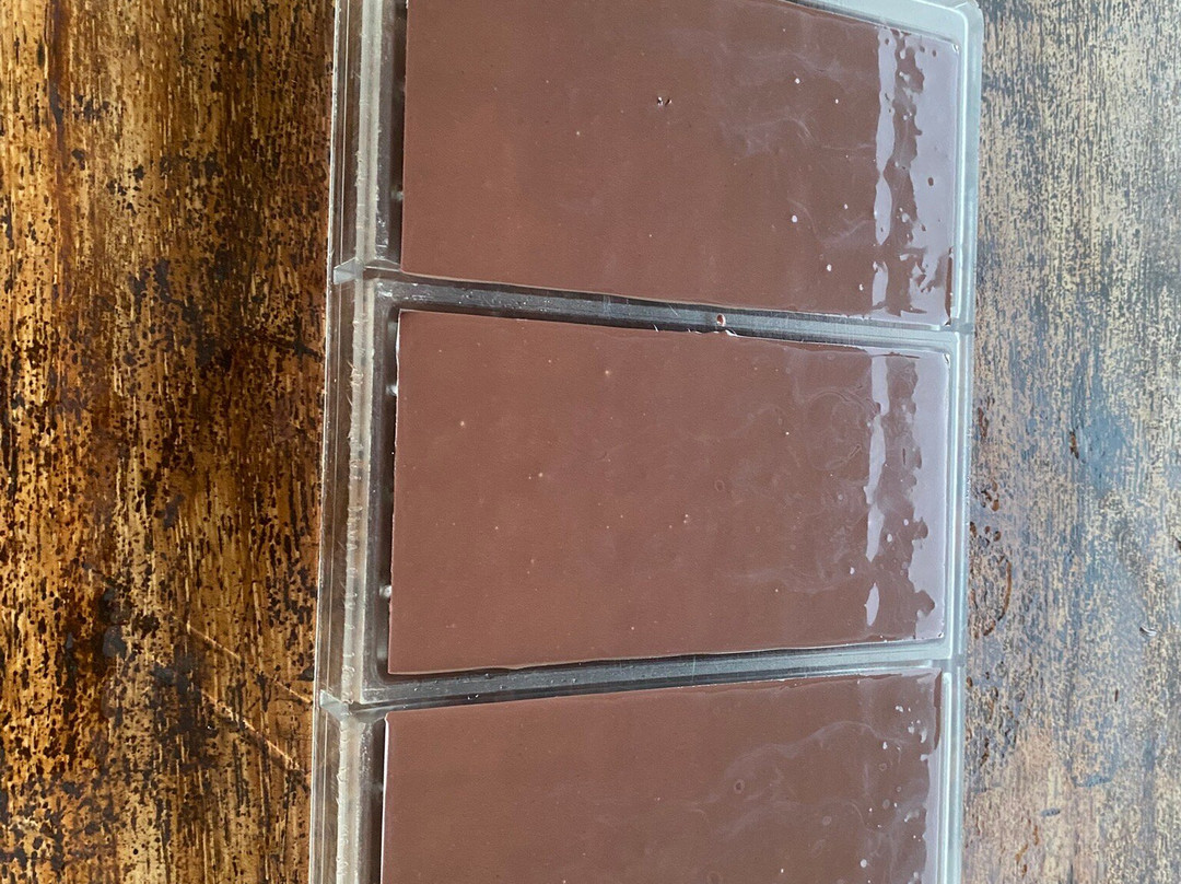 Finca Amistad Cacao Lodge主图