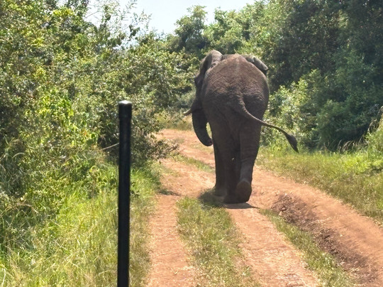 Hope Tours Africa-吉佳利必去景点