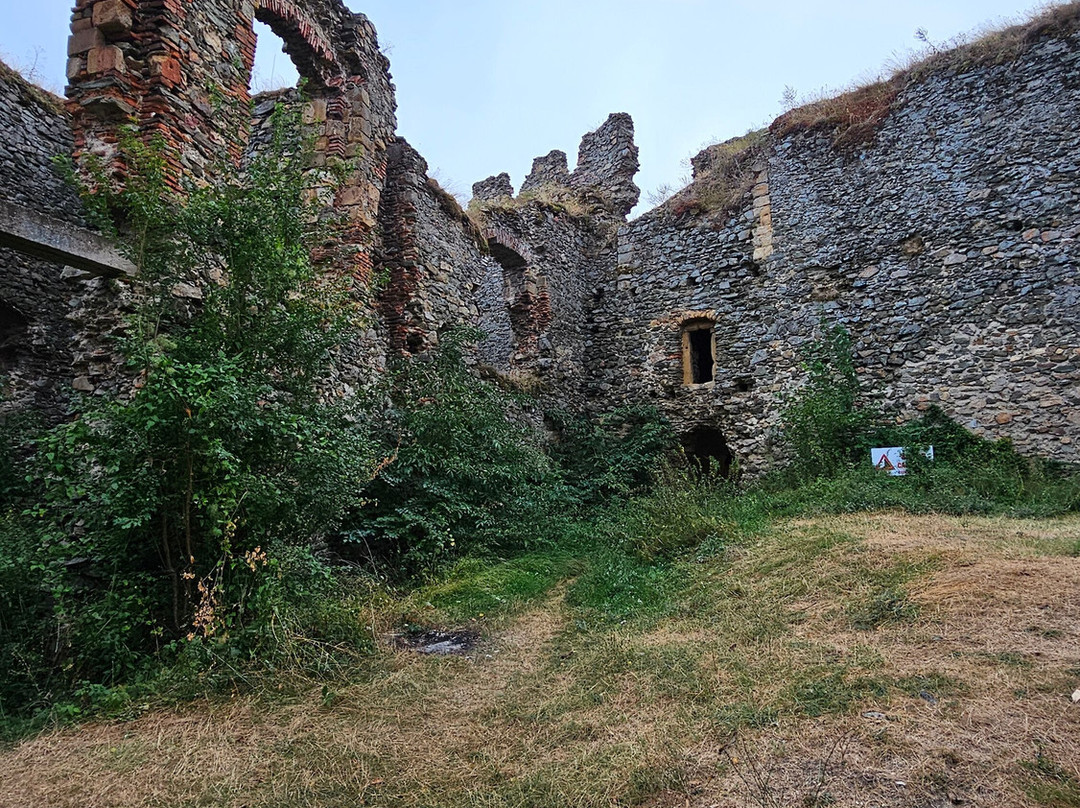 Cetatea Soimos景点图片